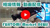 Fujitomi market news