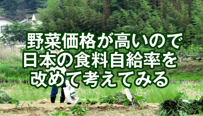 野菜が高いので日本の食料自給率を改めて考える
